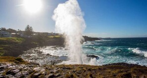 Kiama's Little Blow Hole 2 min walk 