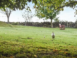 Garden | York Apartment - The Old Schoolhouse, Commondale, near Whitby