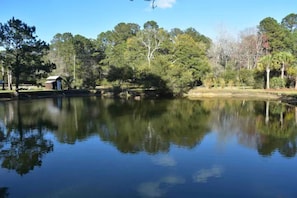 Lake