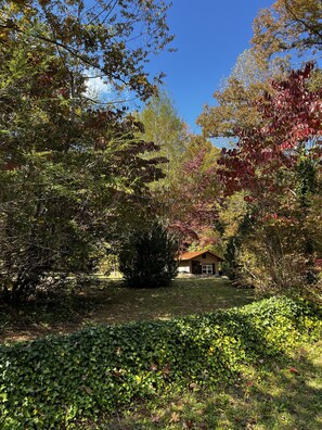 Terrain de l’hébergement 