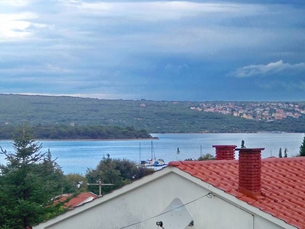 Beach/ocean view