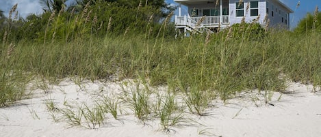 Welcome to Lavender Beach House.  Perched above a two-mile-long pink-sand beach with just 5 other houses along the entire length of it