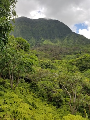 Terrain de l’hébergement 