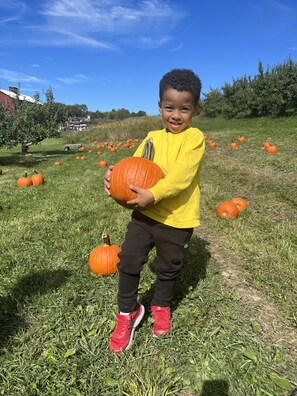 Visit a local pumpkin patch in the fall and carve a jack o lantern for Halloween