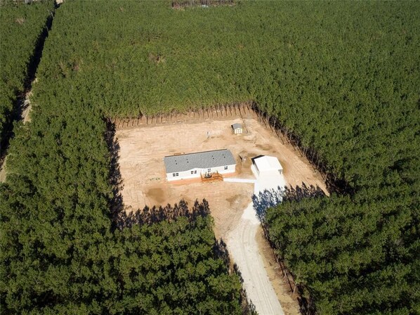 Welcome to our cozy pine farm!