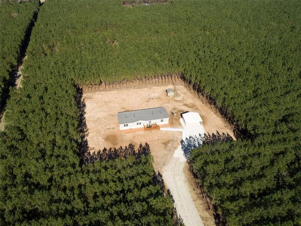 Welcome to our cozy pine farm!