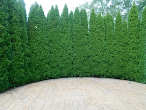 Rear Patio