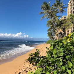 Beach on your doorstep