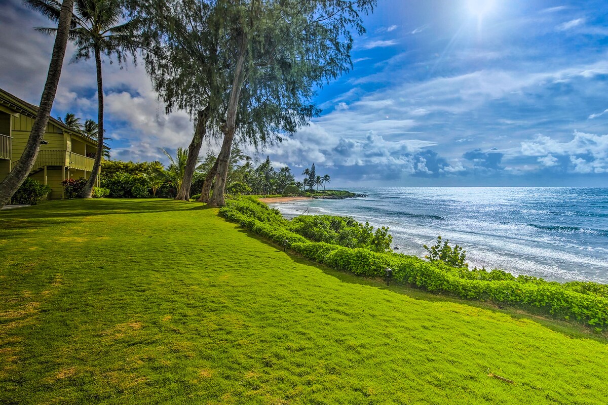 Oceanfront ground-floor condo with amazing views, pool, & full kitchen -walkable