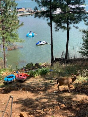 Lakefront with toys!