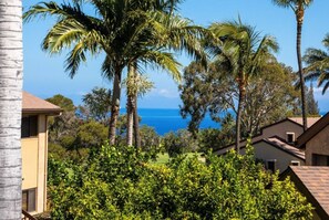 Peek a boo view of the ocean from the lanai