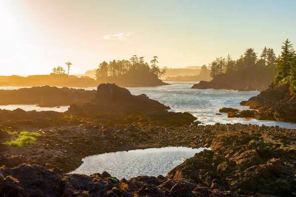Wild Pacific Trail