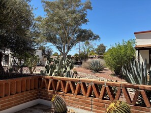 Looking west toward the pool.