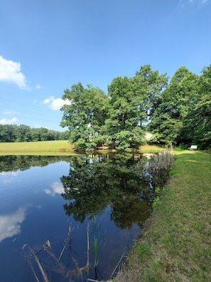 Boendeområde
