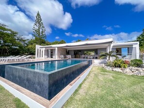 Infinity Pool and Facade with Perfect Garden