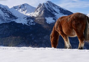 Sci e sport sulla neve