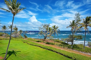 Lanai view looking North