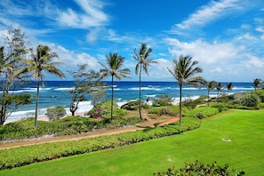 Lanai view looking south