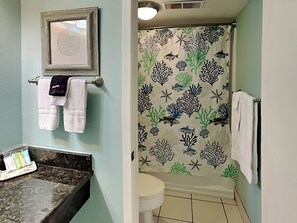 Full Size Bathroom