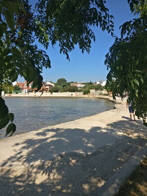 Area