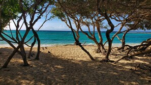 Lots of privacy on Rodgers'Beach