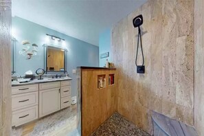 Master Bath Shower