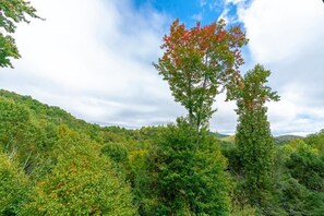 Deck Area--- Wooded Mountain View 