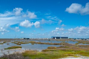 Close proximity to Cove Harbor Marina
