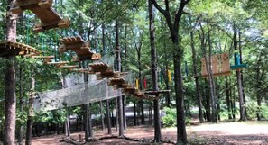 Treetop Quest Gwinnett