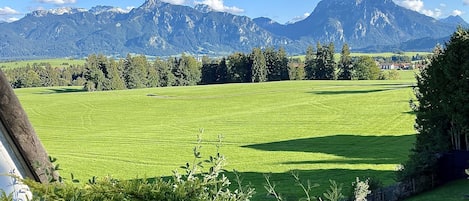 Blick von der Terrasse auf die Alpenkette und die Königsschlösser