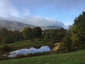 Morning fog burning off over pond