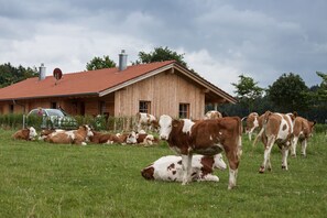 Unterkunftsgelände