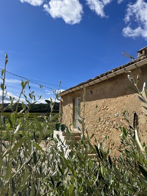 Terrain de l’hébergement 