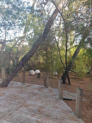 Property grounds