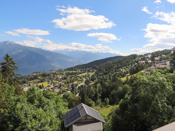 View