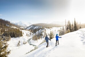 Sne- og skisport