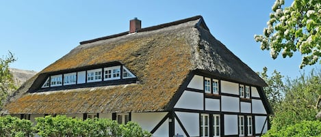 Mönchguter Ferienhaus unterm Reetdach mit Kamin