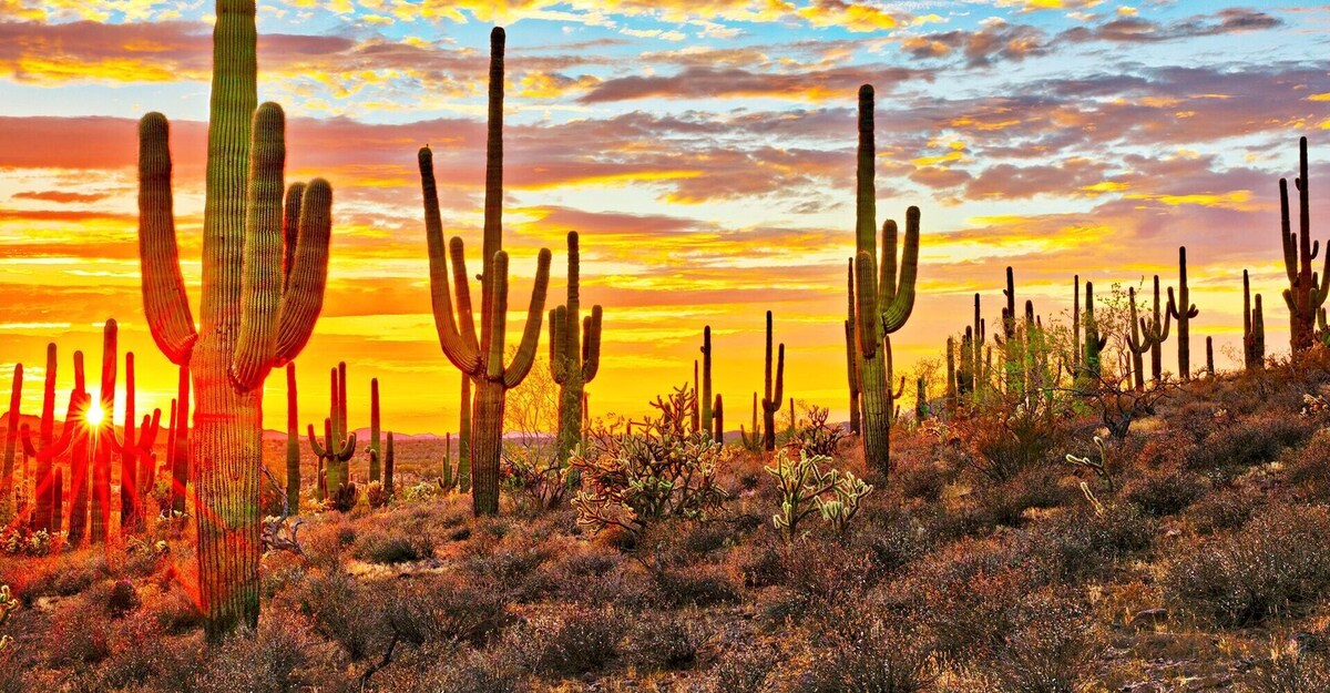 Perfect Private Desert Getaway by Hohokam Stadium!