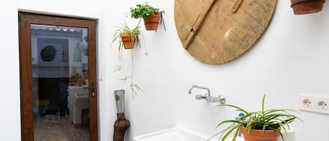 Plant, Property, Flowerpot, Green, Houseplant, Wood, Interior Design, Lighting, Table, Wall