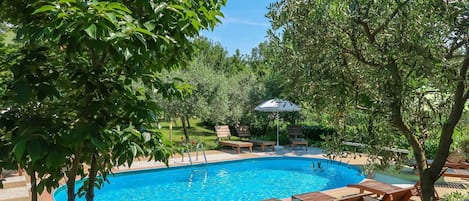 Water, Plant, Property, Furniture, Swimming Pool, Sky, Chair, Outdoor Furniture, Shade, Tree