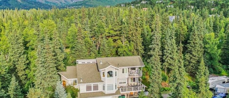 Aerial view of house