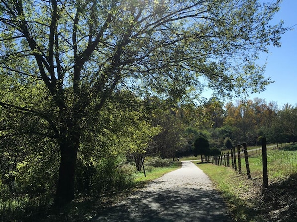 McDaniel Farm Park