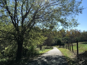 McDaniel Farm Park