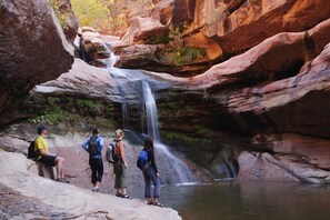Adventure awaits! The scenic Waterfall Canyon Trail, with its cascading waterfalls, is just a short hike from your cozy Airbnb.