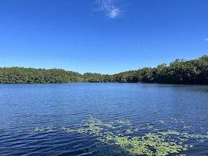 Rond Pond-- Access to the private pond