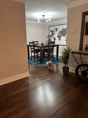 This is Cinnamon French Toast, If your dog is bigger than her go to the Hilton! 