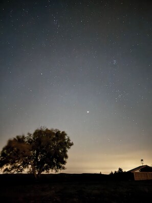stars