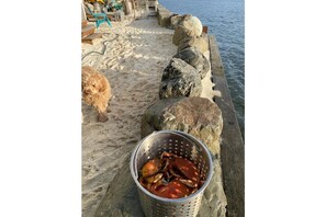 ビーチ