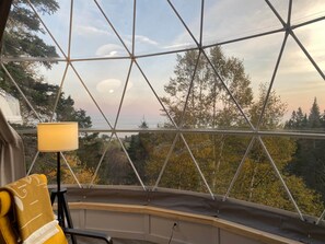 Our domes offer a beautiful living space immersed in nature (2)