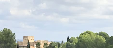 Savignac le Haut au milieu des vignes